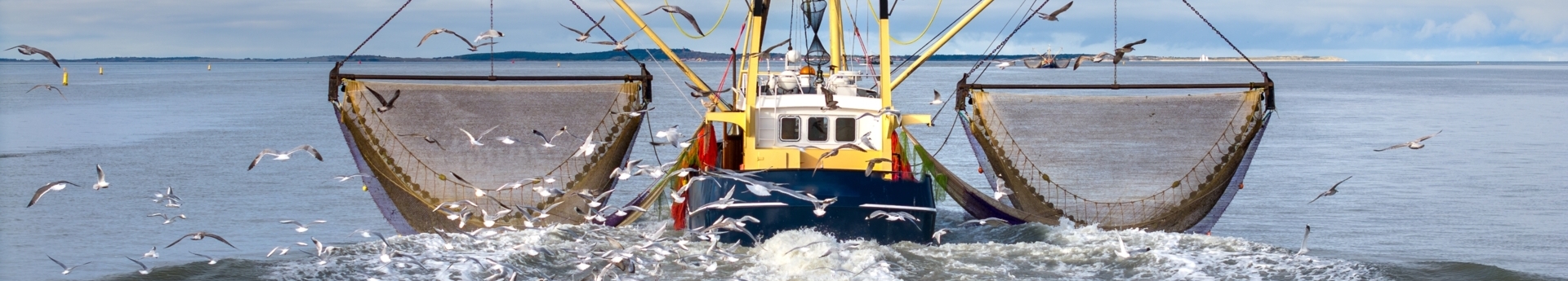 vissersboot in actie